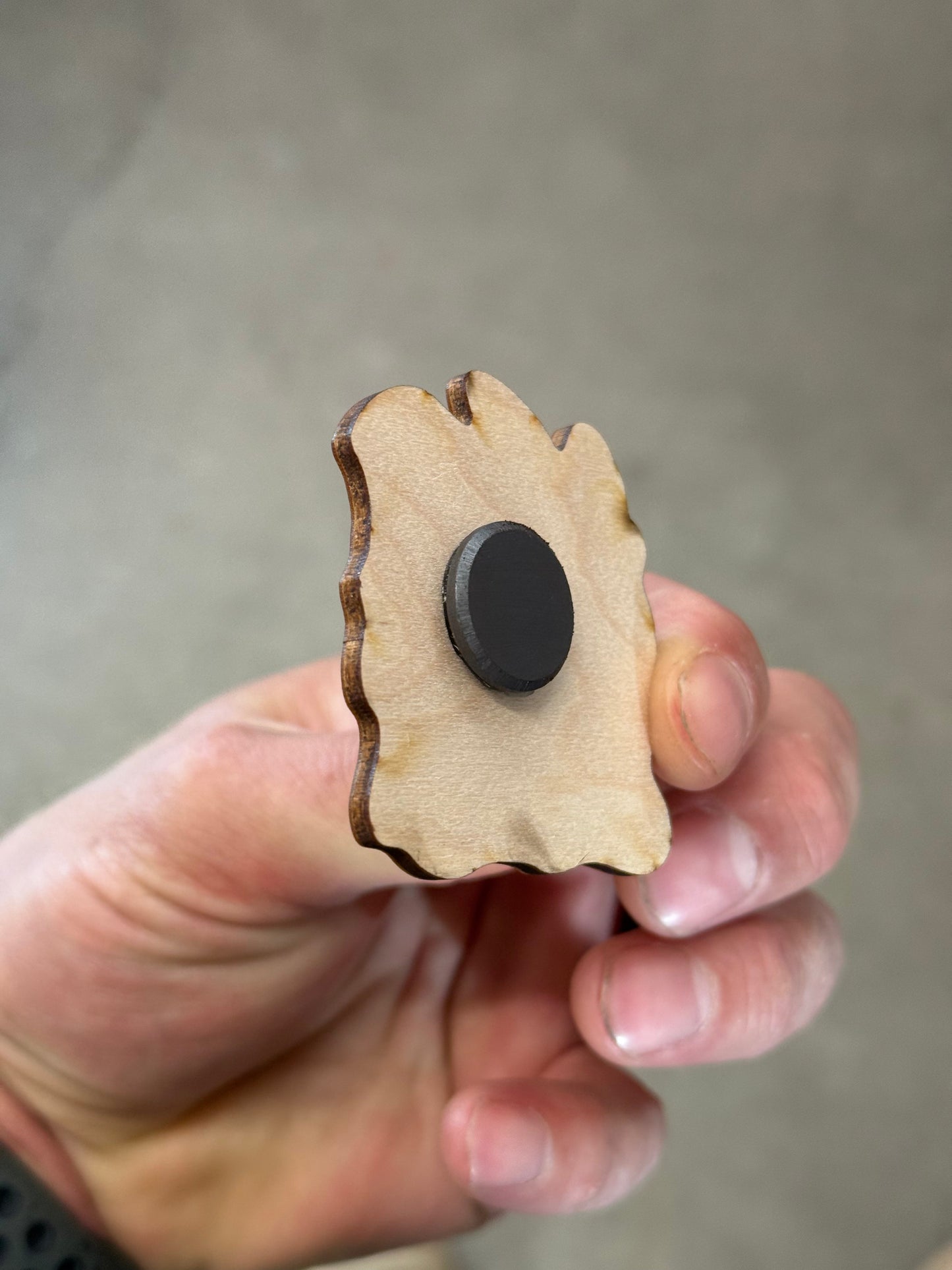 Chasing Views Idaho - Wooden Magnet (Printed)