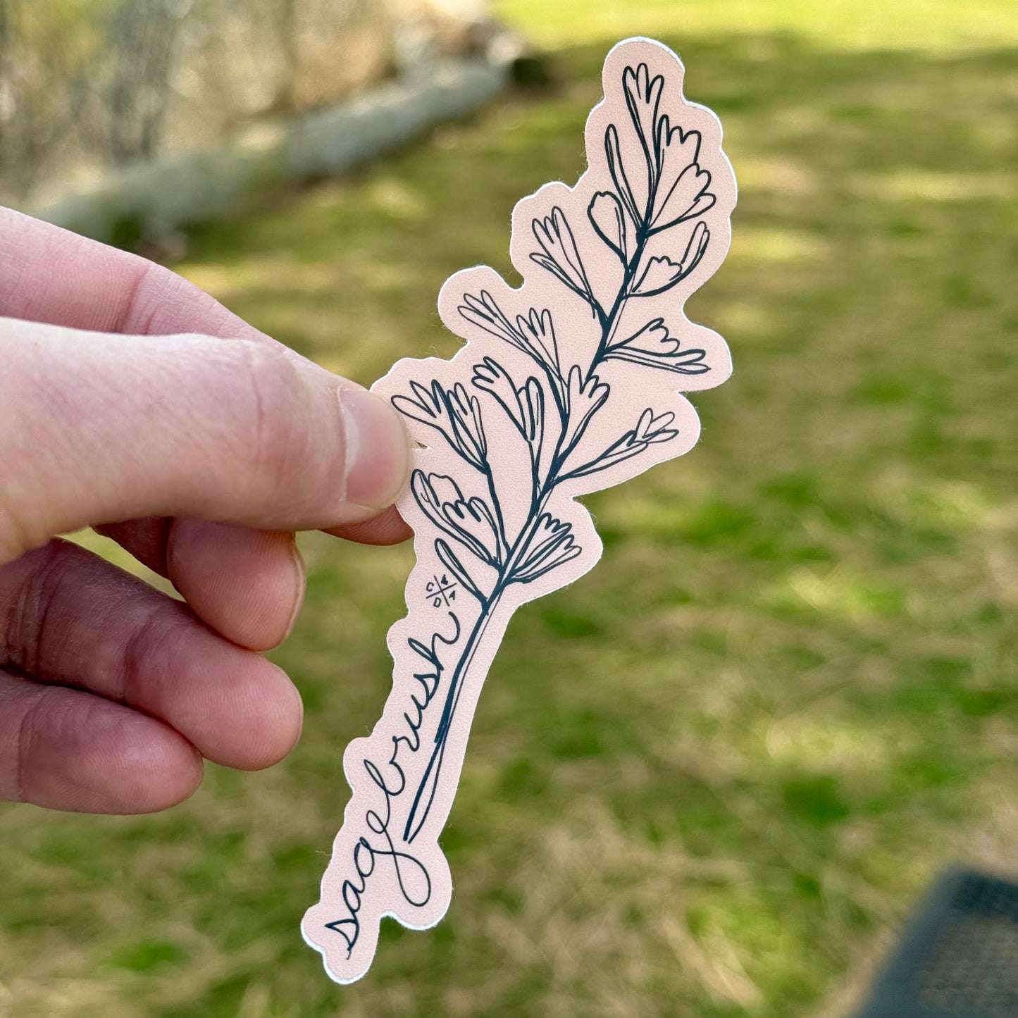 Idaho Native Plants: Sagebrush Sticker