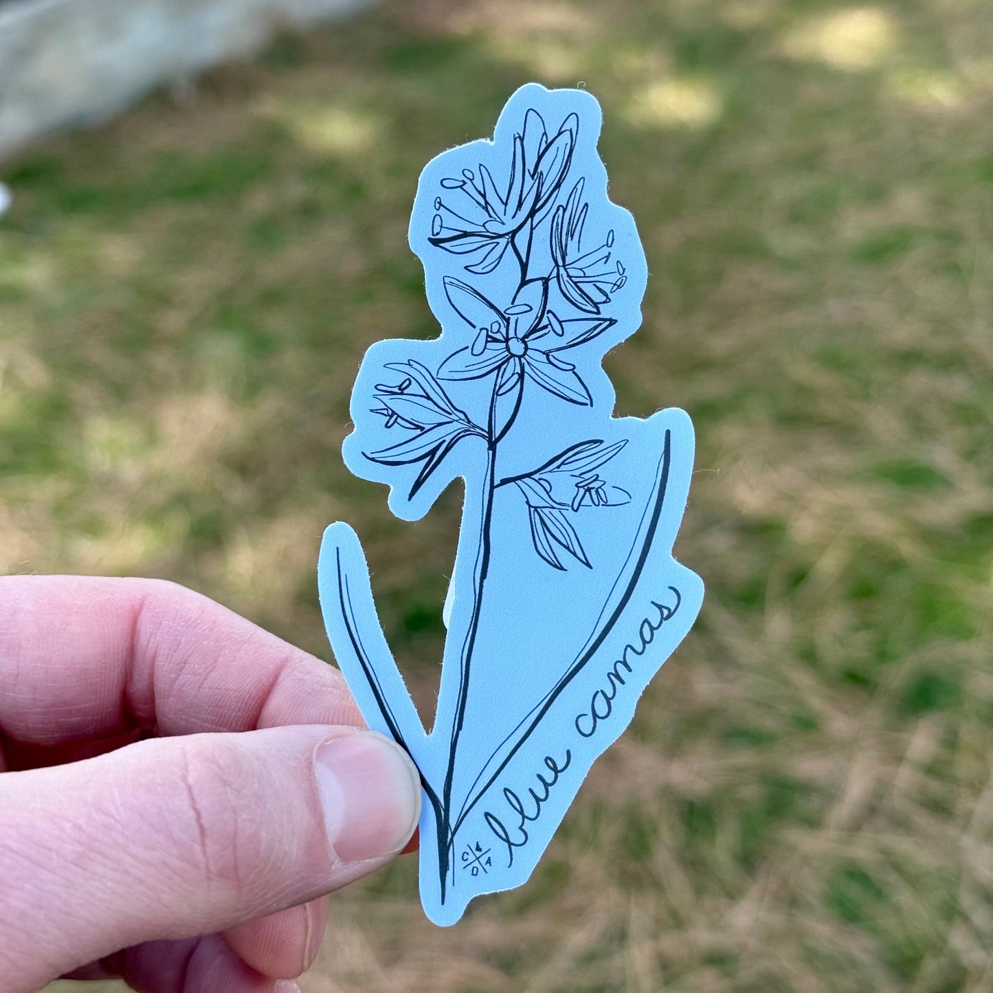 Idaho Native Plants: Blue Camas Sticker