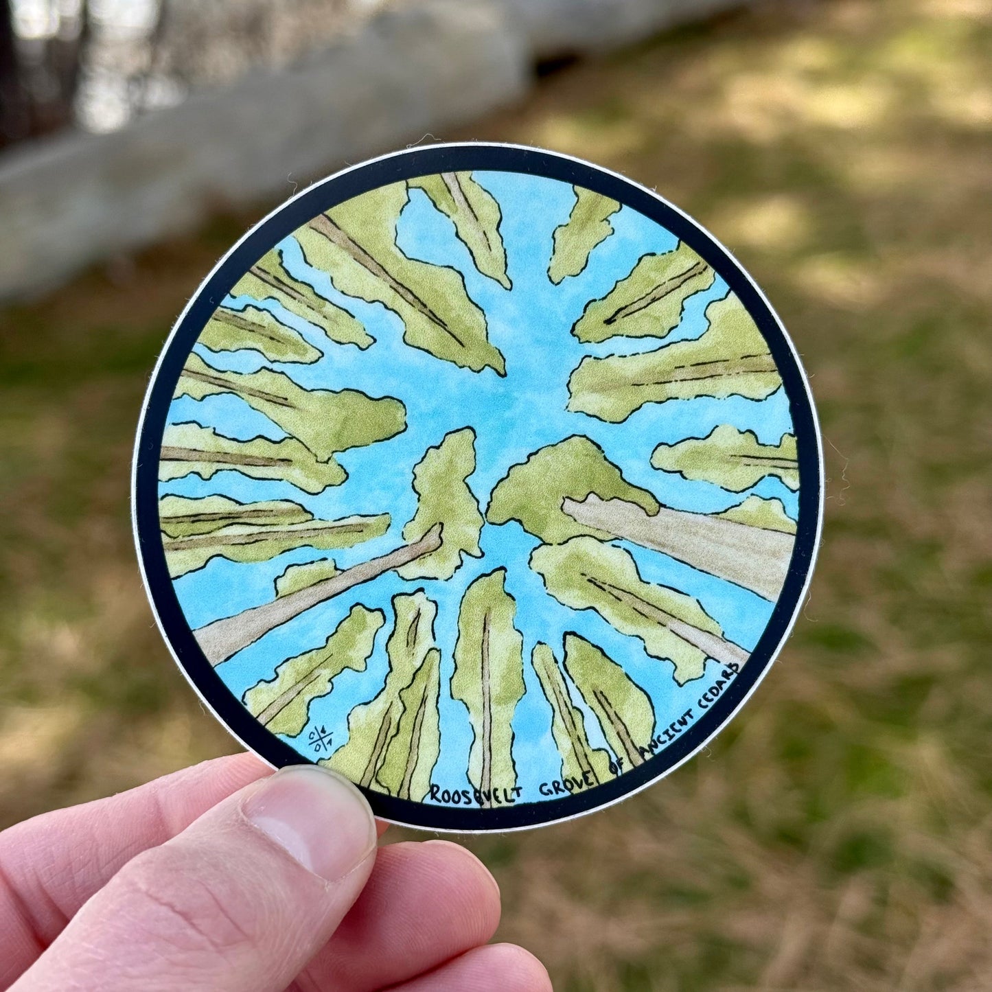 Roosevelt Grove Of Ancient Cedars Watercolor Sticker