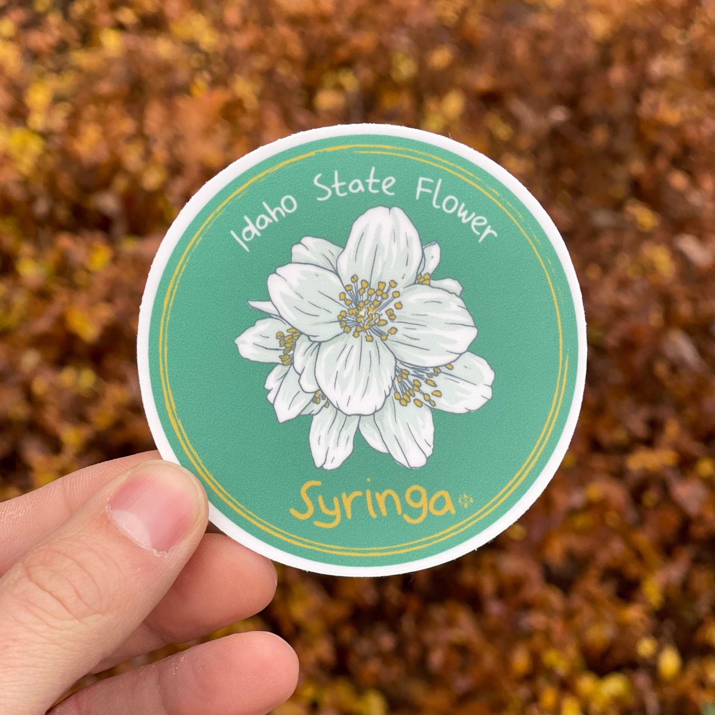Idaho State Flower Syringa Sticker