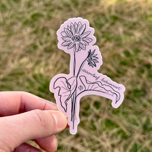 Idaho Native Plants: Arrowleaf Balsamroot Sticker