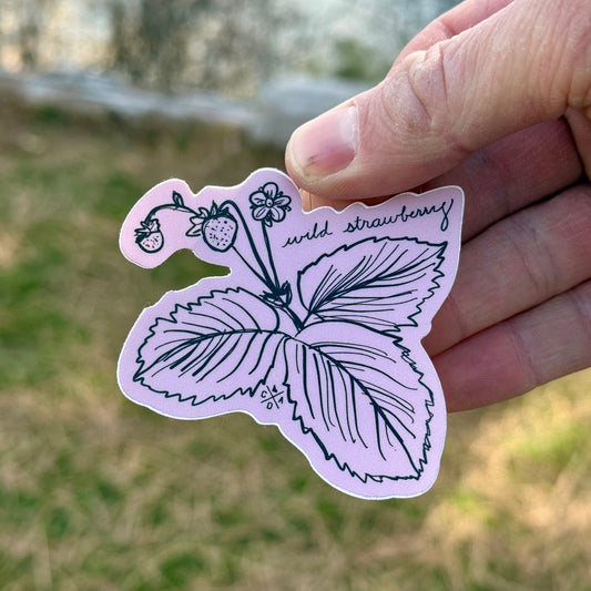 Idaho Native Plants: Wild Strawberry Sticker