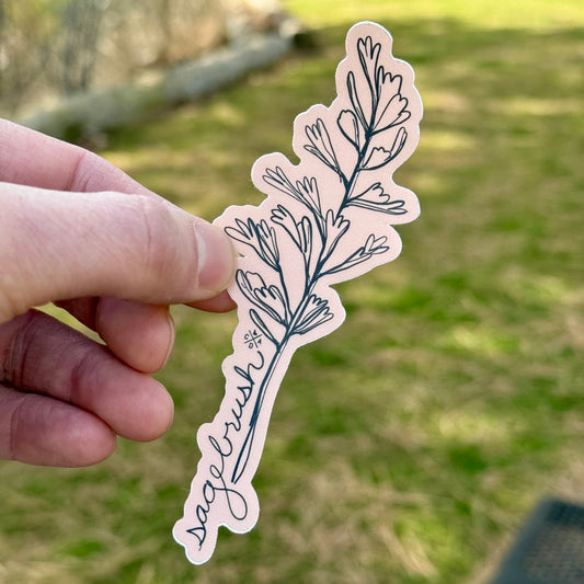 Idaho Native Plants: Sagebrush Sticker