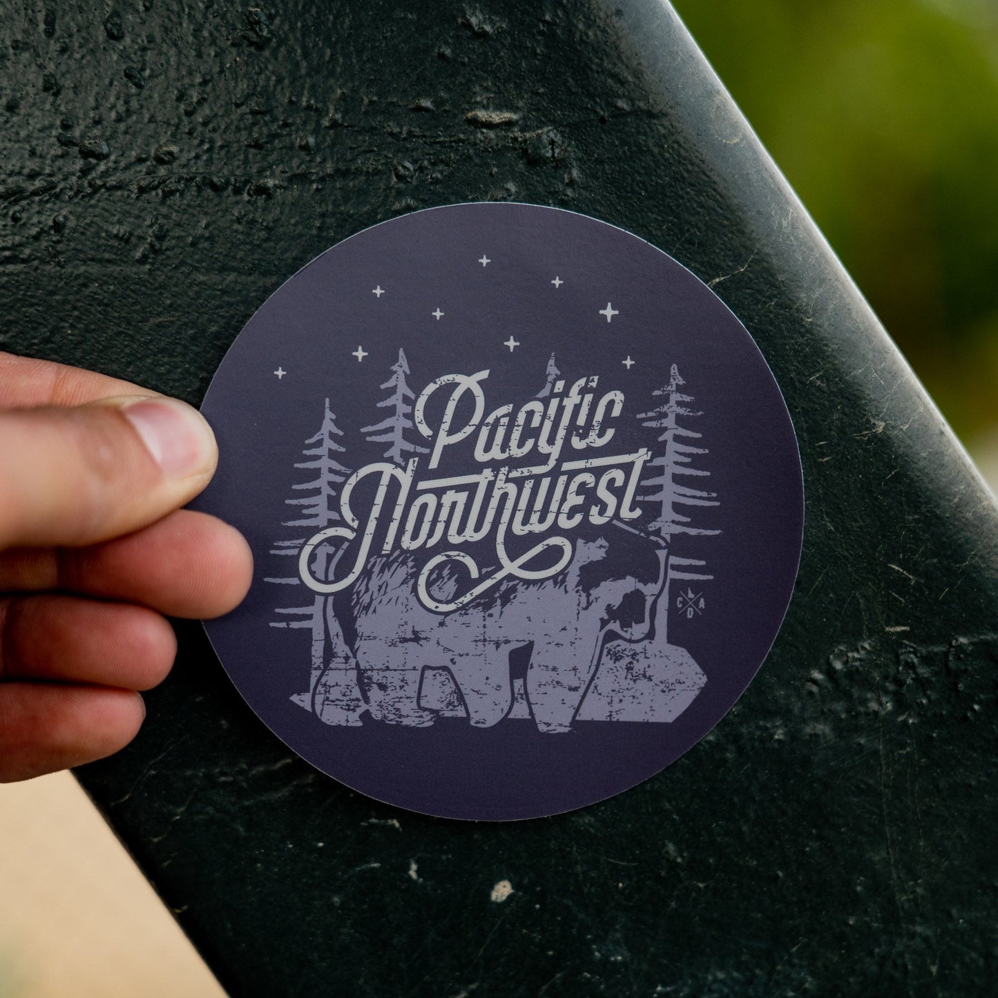 PNW Night Bear Sticker