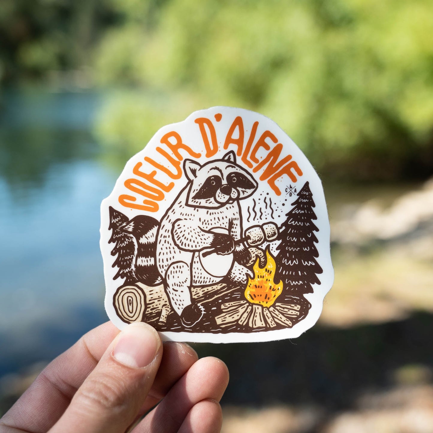 Coeur d'Alene Raccoon Sticker