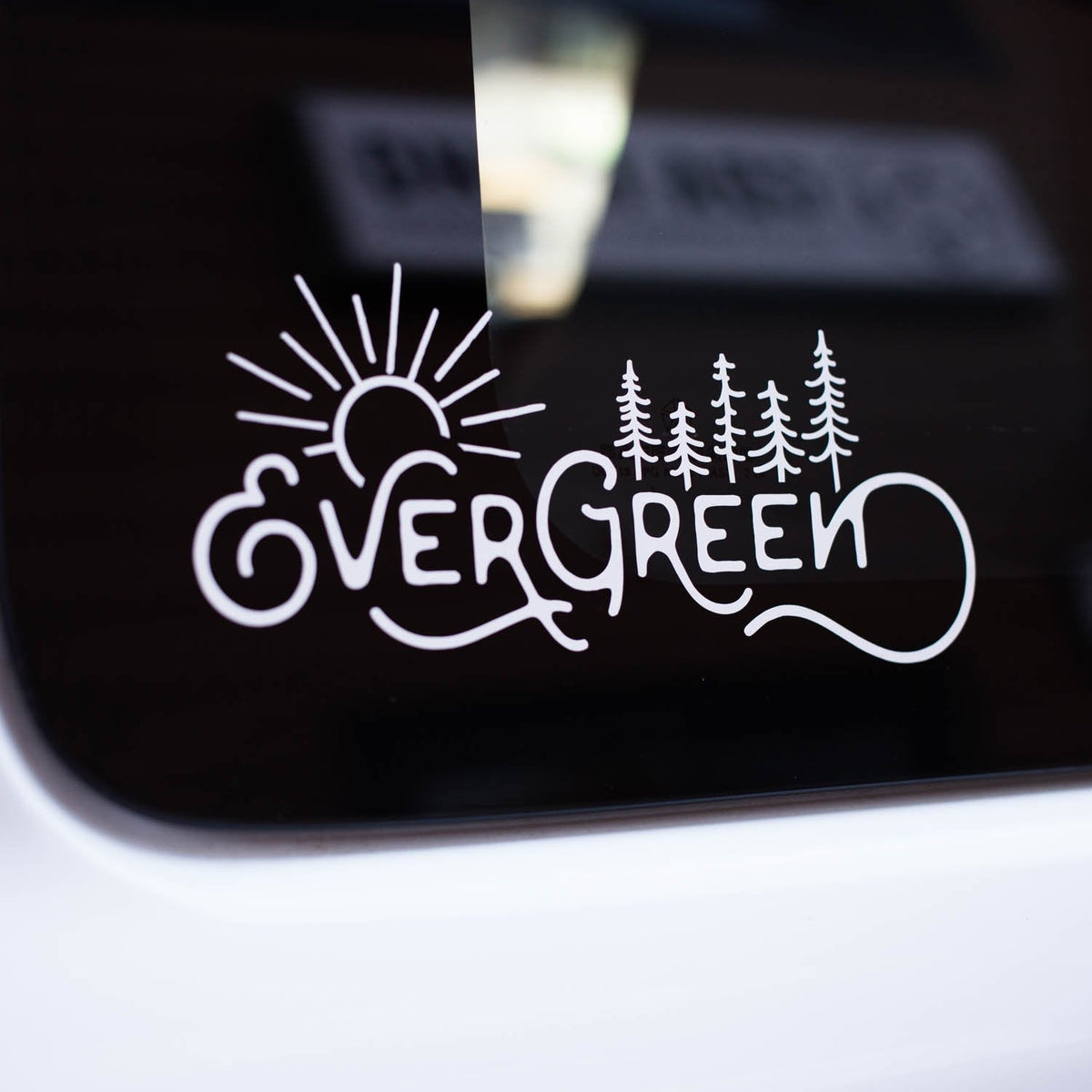 Evergreen File Evergreen Decal – Ida Wholesale