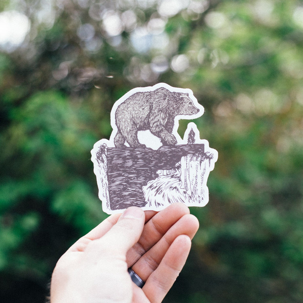 Bear Crossing Sticker