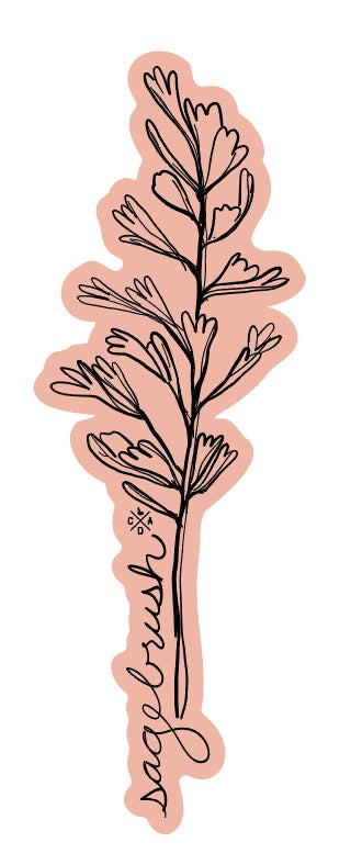 Idaho Native Plants: Sagebrush Sticker