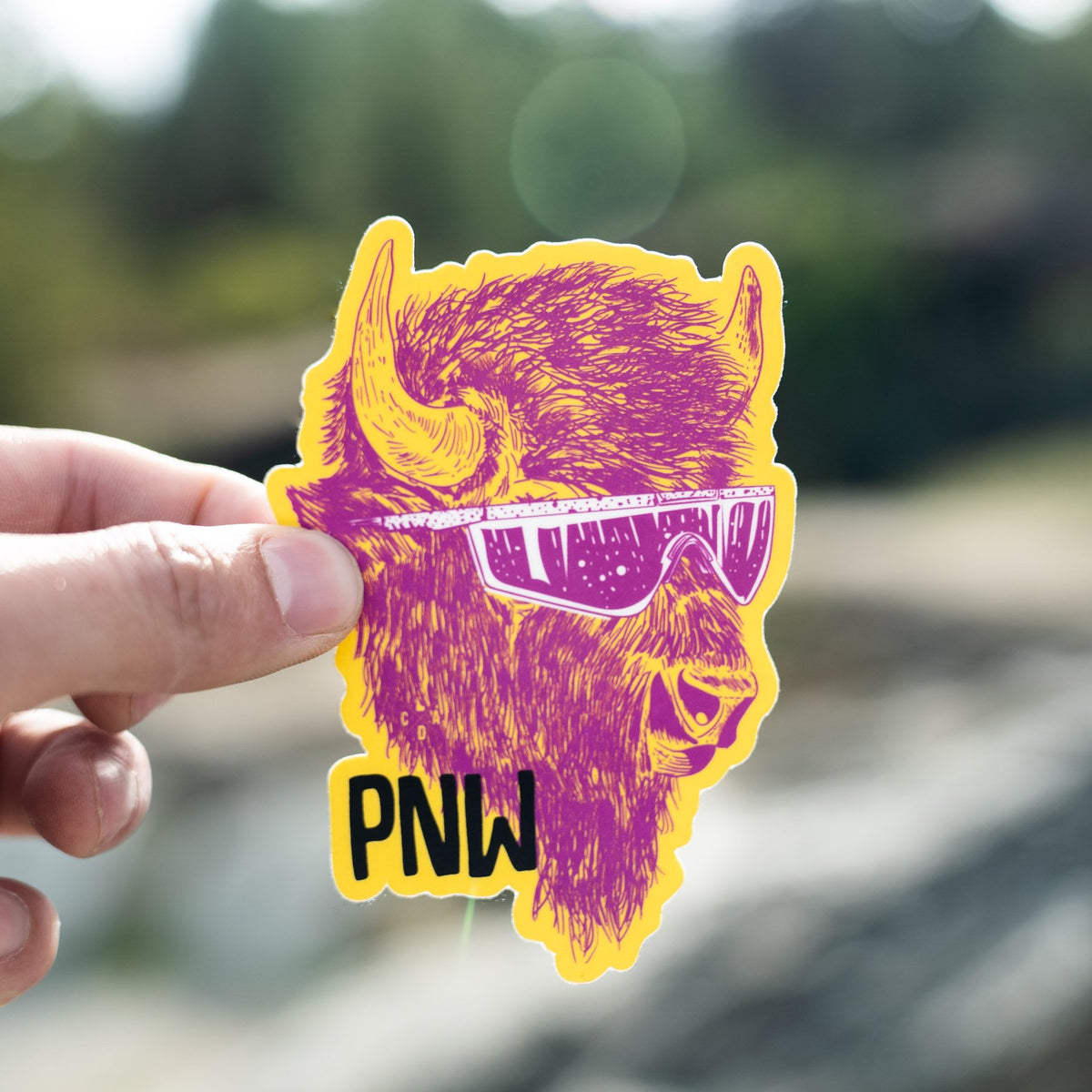 PNW Buffalo Sticker