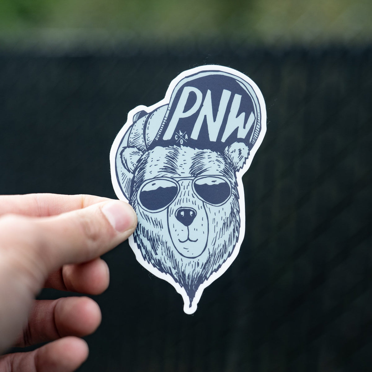 PNW Cool Bear Sticker