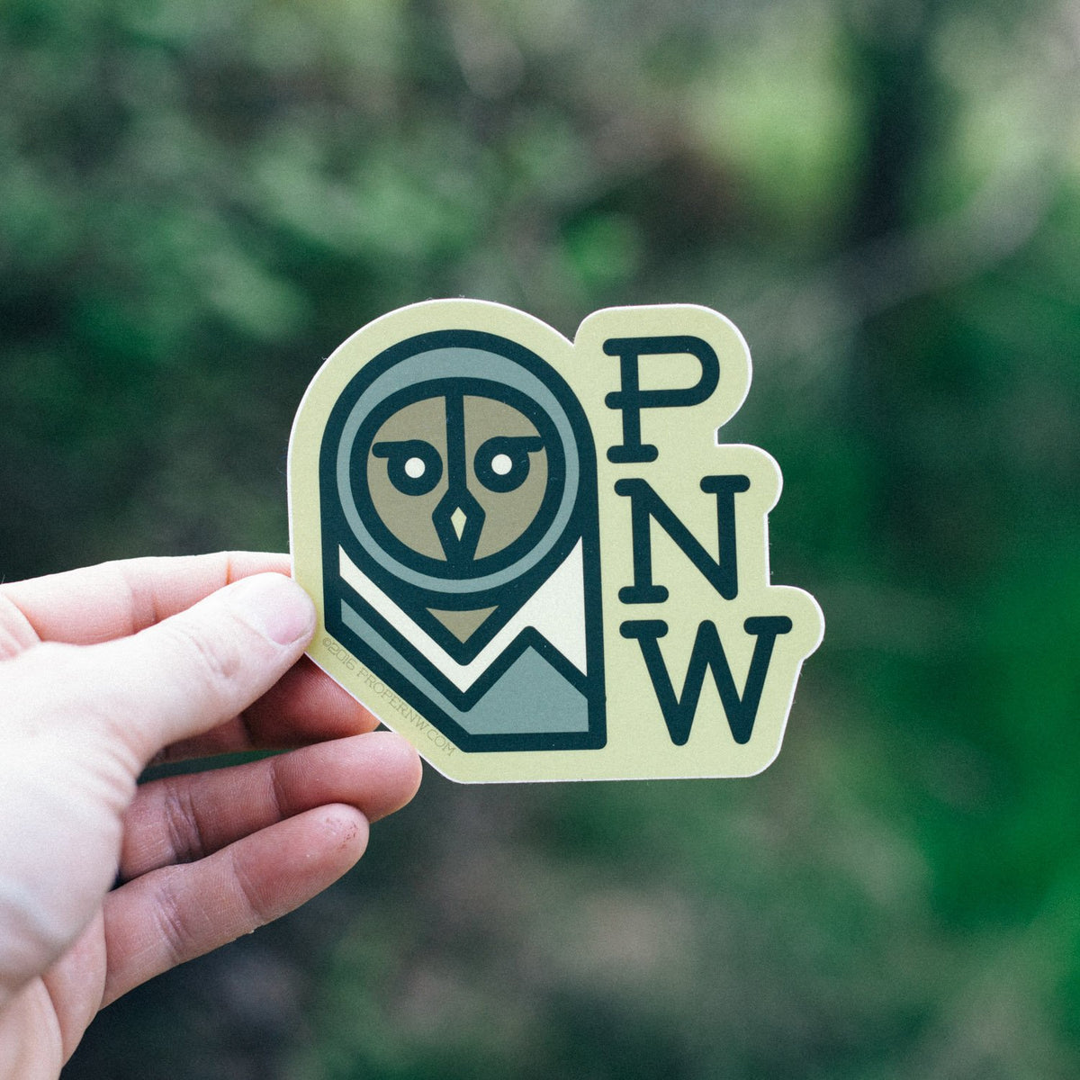 PNW Owl Sticker