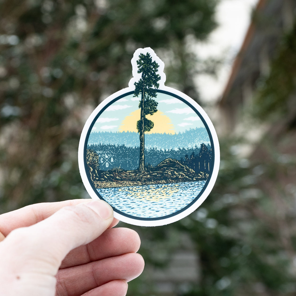 Tubbs Hill Tree Sticker #3