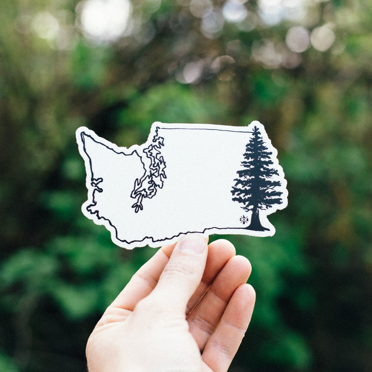 Washington Tree Sticker