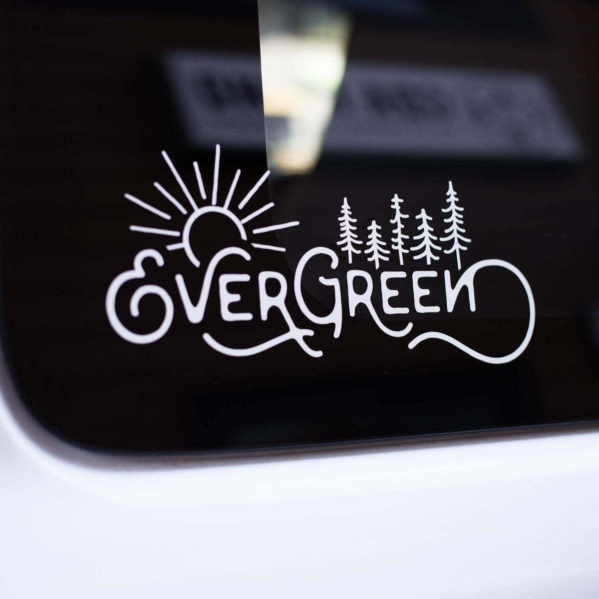 Evergreen Decal