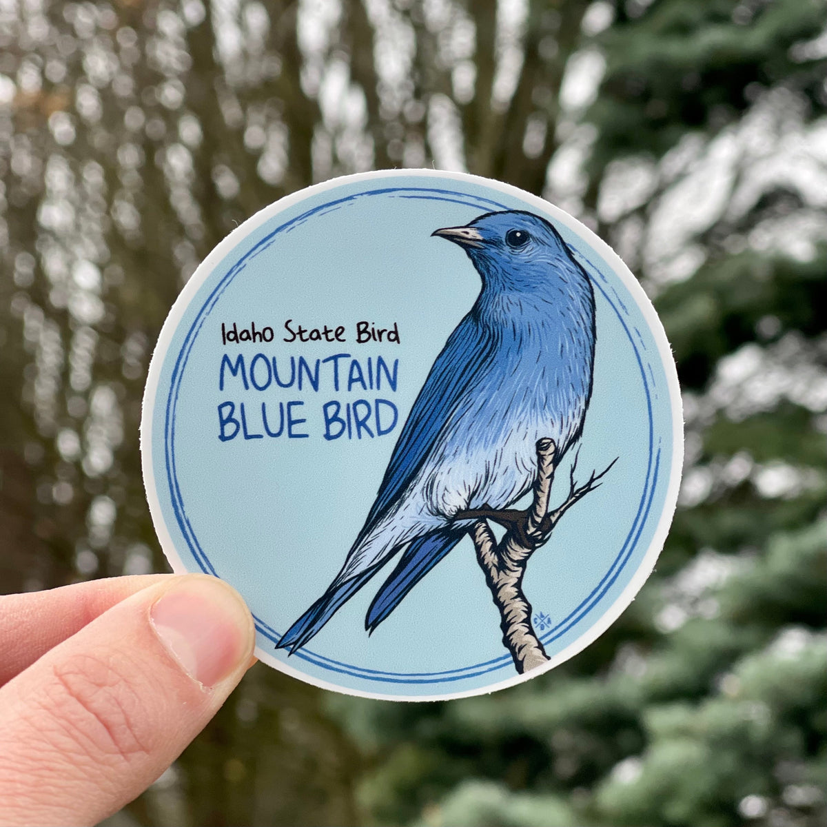 Idaho state bird mountain blue bird